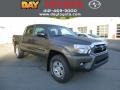 Pyrite Mica 2013 Toyota Tacoma Gallery