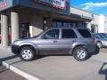 Tungsten Grey Metallic - Escape XLT V6 Photo No. 9