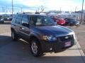 Tungsten Grey Metallic - Escape XLT V6 Photo No. 14