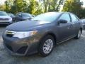 Magnetic Gray Metallic - Camry LE Photo No. 7