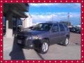Tungsten Grey Metallic - Escape XLT V6 Photo No. 16