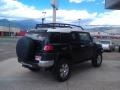 Black Diamond - FJ Cruiser 4WD Photo No. 10