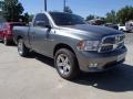 2009 Mineral Gray Metallic Dodge Ram 1500 SLT Regular Cab 4x4  photo #3