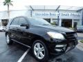 Black - ML 350 4Matic Photo No. 1