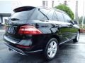 Black - ML 350 4Matic Photo No. 7