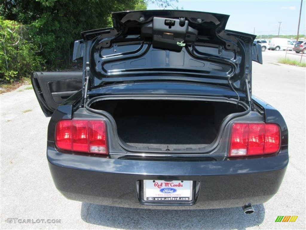 2006 Mustang V6 Premium Coupe - Black / Black photo #11