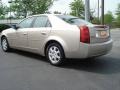 Sand Storm - CTS Sedan Photo No. 3