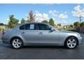 Silver Grey Metallic - 5 Series 530xi Sedan Photo No. 8