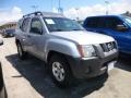 2008 Silver Lightning Nissan Xterra S  photo #3