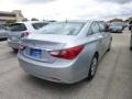 Radiant Silver - Sonata GLS Photo No. 4