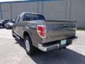 2011 Sterling Grey Metallic Ford F150 FX4 SuperCab 4x4  photo #12