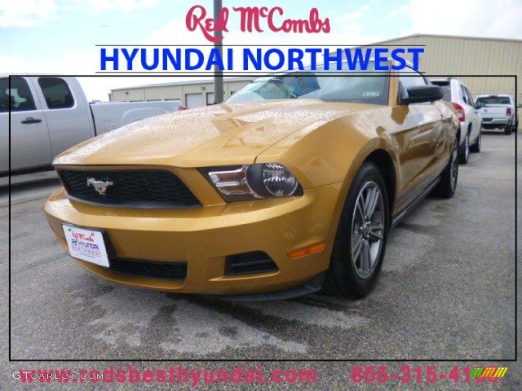 2010 Mustang V6 Premium Coupe - Sunset Gold Metallic / Charcoal Black photo #1