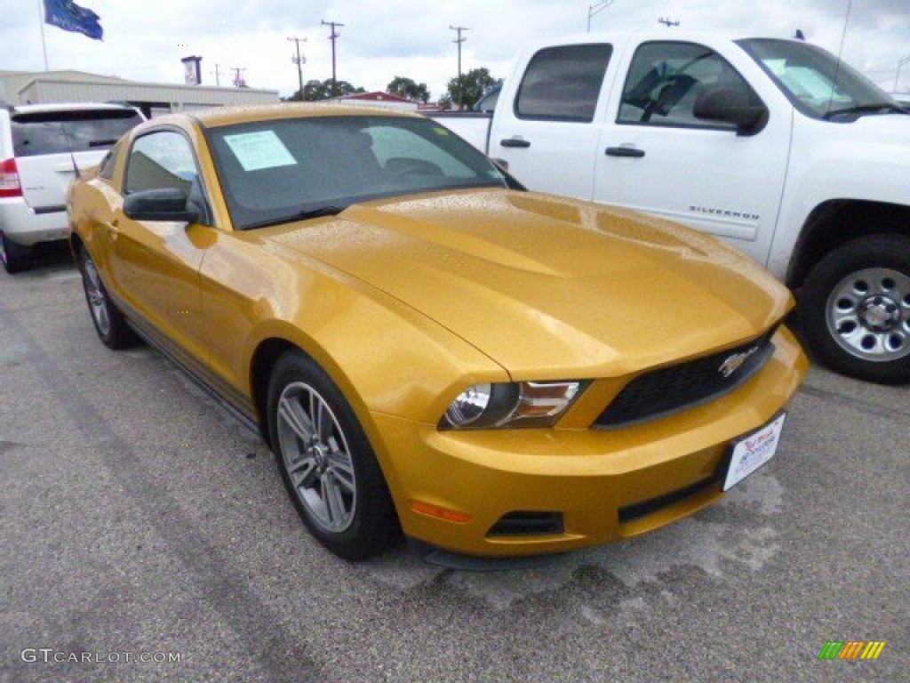 2010 Mustang V6 Premium Coupe - Sunset Gold Metallic / Charcoal Black photo #3