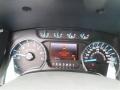 Steel Gray Gauges Photo for 2013 Ford F150 #86281709