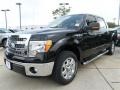 2013 Tuxedo Black Metallic Ford F150 XLT SuperCrew  photo #1