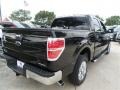 2013 Tuxedo Black Metallic Ford F150 XLT SuperCrew  photo #4