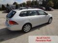 Reflex Silver Metallic - Jetta TDI SportWagen Photo No. 3