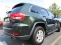 Natural Green Pearl - Grand Cherokee Laredo Photo No. 3