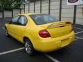 Solar Yellow - Neon SXT Photo No. 2