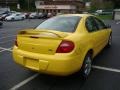 Solar Yellow - Neon SXT Photo No. 4