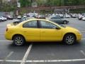 Solar Yellow - Neon SXT Photo No. 5