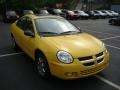 Solar Yellow - Neon SXT Photo No. 6