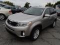 Satin Metal - Sorento LX Photo No. 4