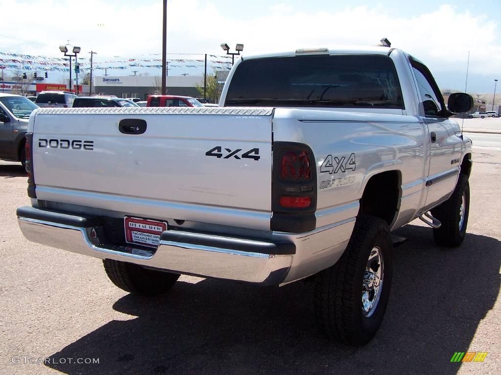 2001 Ram 1500 ST Regular Cab 4x4 - Bright Silver Metallic / Mist Gray photo #18