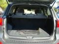 2009 Platinum Sage Hyundai Santa Fe GLS  photo #20