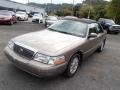 Arizona Beige Metallic - Grand Marquis LS Photo No. 4