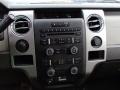 2010 Sterling Grey Metallic Ford F150 XLT Regular Cab 4x4  photo #11