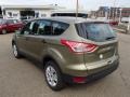 2014 Ginger Ale Ford Escape S  photo #6