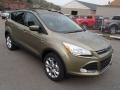 Ginger Ale 2014 Ford Escape Gallery