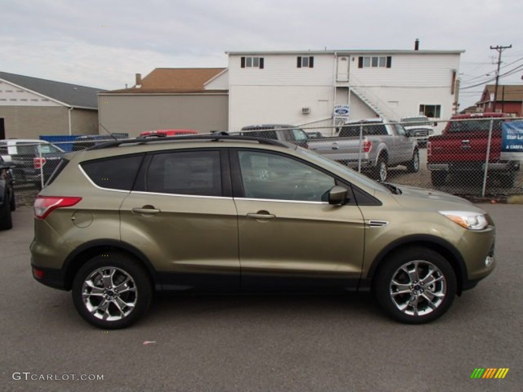 2014 Escape SE 2.0L EcoBoost 4WD - Ginger Ale / Charcoal Black photo #4