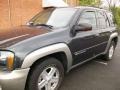 Dark Gray Metallic - TrailBlazer LTZ 4x4 Photo No. 3