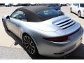 Rhodium Silver Metallic - 911 Carrera 4S Cabriolet Photo No. 9