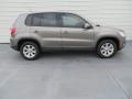 Alpine Grey Metallic - Tiguan S Photo No. 3