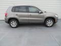 2009 Alpine Grey Metallic Volkswagen Tiguan S  photo #3