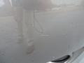 Alpine Grey Metallic - Tiguan S Photo No. 10