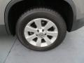 Alpine Grey Metallic - Tiguan S Photo No. 13