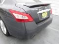 Dark Slate - Maxima 3.5 SV Photo No. 18