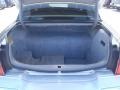 Silver Birch Metallic - Town Car Executive Photo No. 6