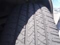 Silver Birch Metallic - Town Car Executive Photo No. 9