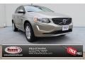 Seashell Metallic - XC60 3.2 Photo No. 1