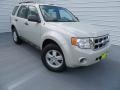 2009 Light Sage Metallic Ford Escape XLS  photo #2