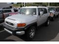Titanium Metallic - FJ Cruiser 4WD Photo No. 4
