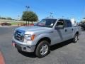 Ingot Silver Metallic - F150 XL SuperCrew Photo No. 3