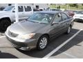 Phantom Gray Pearl - Camry XLE Photo No. 4