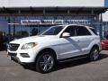 Polar White - ML 350 4Matic Photo No. 1
