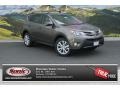 2013 Pyrite Mica Toyota RAV4 Limited AWD  photo #1